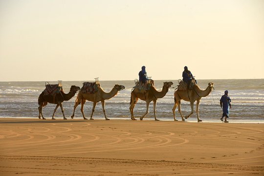 Tour image 7