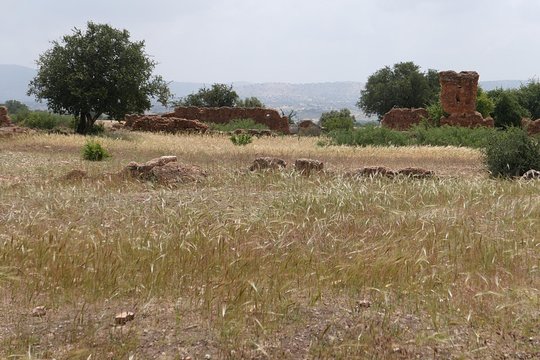 Tour image 9