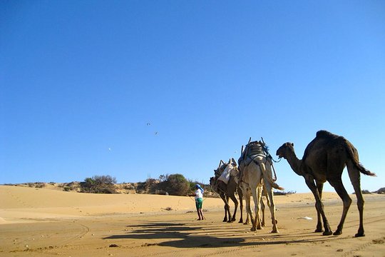 Tour image 4