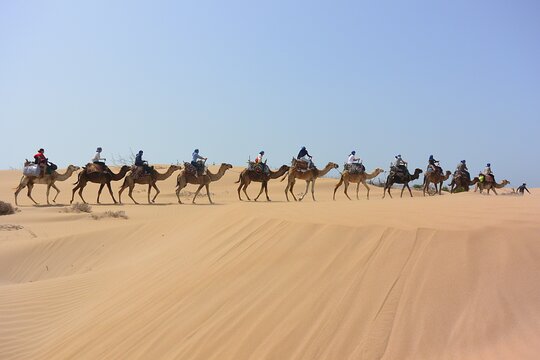 Tour image 11