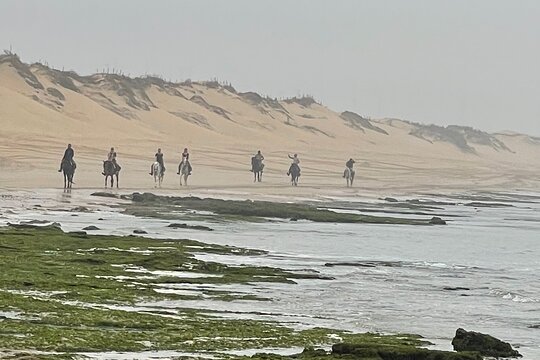 Tour image 12