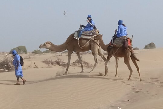 Tour image 4