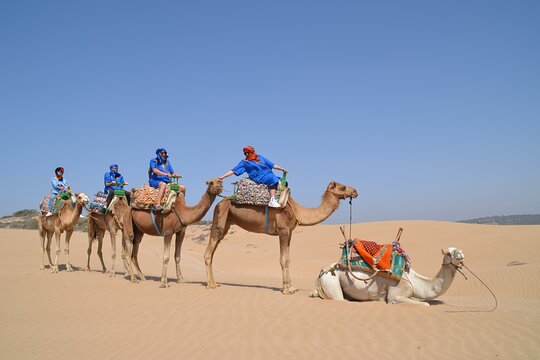 Tour image 5