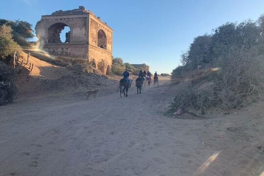 Tour image 6