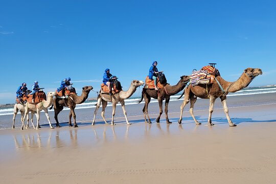 Tour image 12