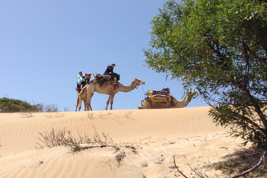 Tour image 2